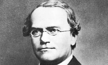 Corpul lui Gregor Mendel, părintele geneticii, a fost dezgropat pentru analize ADN