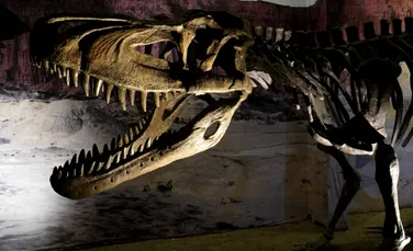 Un schelet de Tyrannosaurus rex vechi de 67 de milioane de ani, scos la licitație