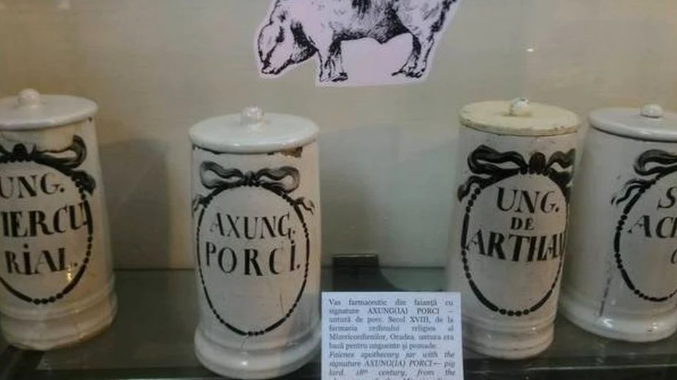 Leacuri care s-au vândut în farmaciile din Transilvania până în secolul al XIX-lea. Unele erau din sânge de capră