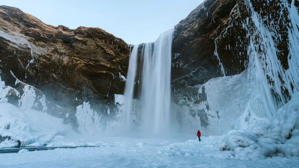 Algele din acest lac din Arctica sunt infectate cu virusuri uriașe