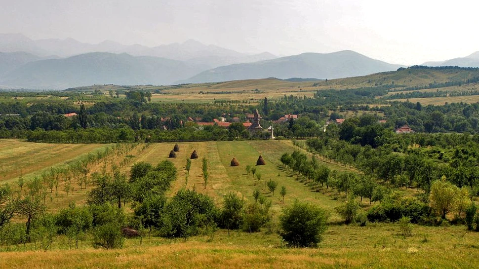 Geoparcul Dinozaurilor Ţara Haţegului găzduieşte un adevărat tezaur