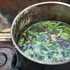 Scanările cerebrale au dezvăluit ce impact are ayahuasca asupra creierului