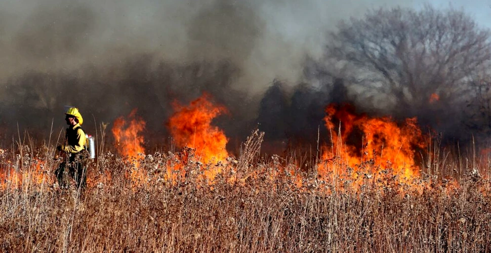 Expunerea la incendiile de vegetație crește riscul de cancer
