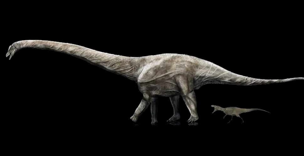 Cel mai lung dinozaur care a trăit vreodată, posibil identificat după ce au fost încurcate niște fosile