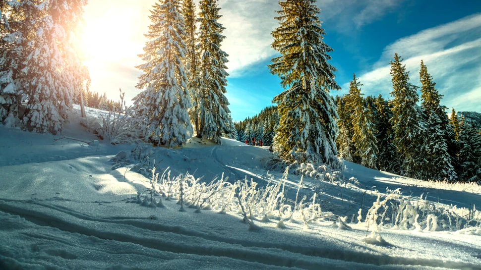 Anul Nou începe cu temperaturi blânde! Cum va fi vremea în ianuarie?