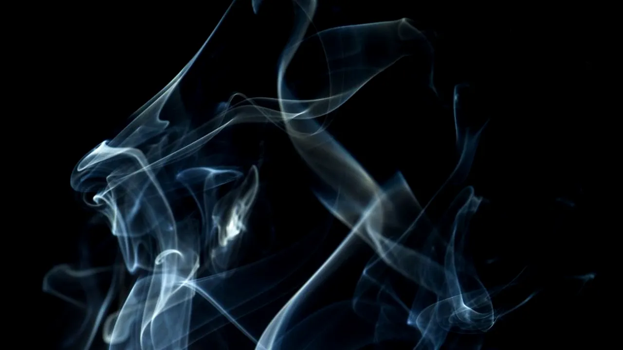 fumat_Paul Wong-unsplash_descopera 