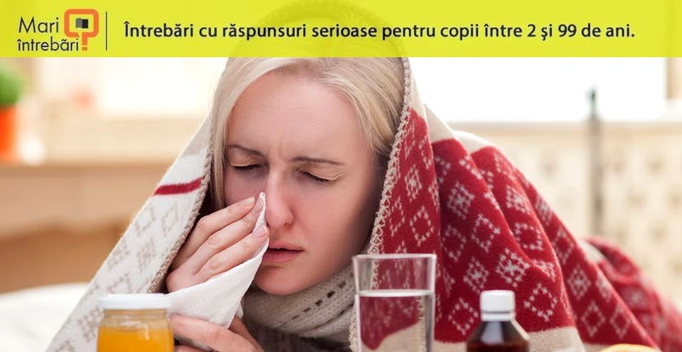 Acestea sunt cele mai frecvente simptome ale gripei