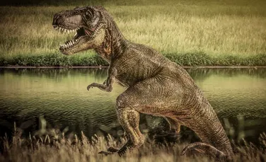 Dinozaurii T-Rex îşi controlau temperatura corpului cu ajutorul unor găuri din craniu