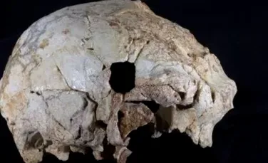 O descoperire remarcabilă a unui craniu de acum 400.000 de ani schimbă teoria EVOLUŢIEI omului