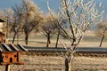 Vremea în ianuarie. Ce temperaturi anunță ANM?