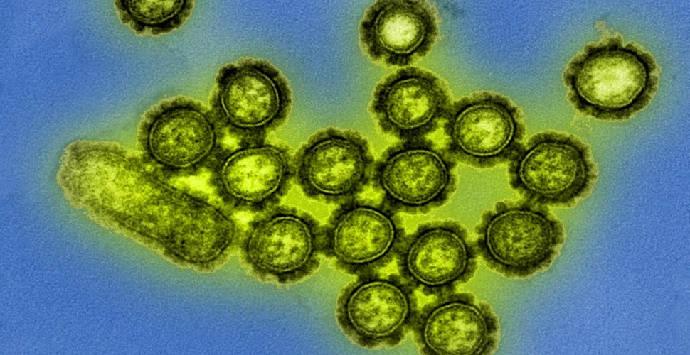Autoritățile se așteaptă la gripă severă în acest an. „Odată ce vaccinul devine disponibil, utilizați-l”