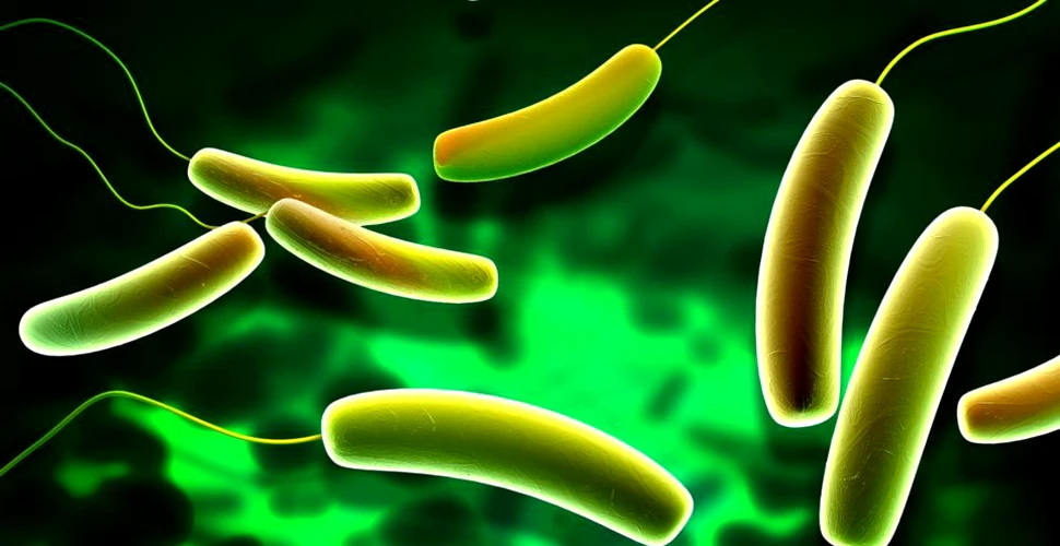 Superbacteriile ar putea duce la decesul a 10 milioane de persoane. Cât de departe a ajuns ştiinţa în războiul împotriva lor
