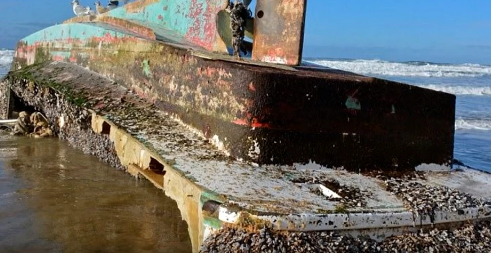 O navă-fantomă, dispărută după tsunamiul din 2011, descoperită pe coasta SUA. Ce „încărcătură” preţioasă avea