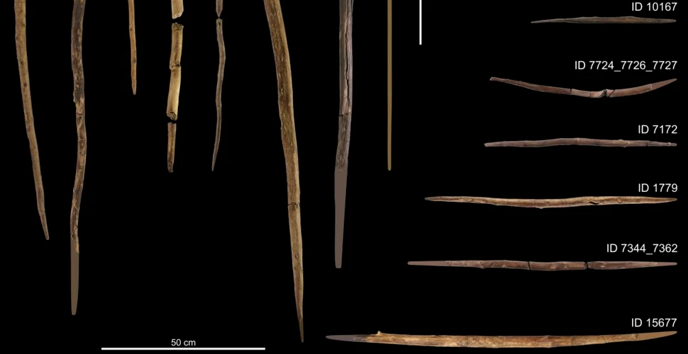 Unelte de lemn vechi de 300.000 de ani arată cum trăiau neanderthalienii