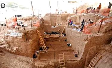 Un nou studiu sugerează că oamenii arhaici erau vânători pretențioși