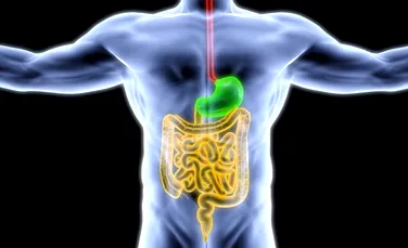 Ştiaţi că avem receptori gustativi şi în intestin? Acţionând asupra lor, oamenii de ştiinţă ar putea combate obezitatea şi diabetul