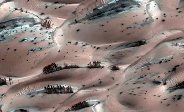 Ce sunt misteriosii arbori de pe Marte? (FOTO)