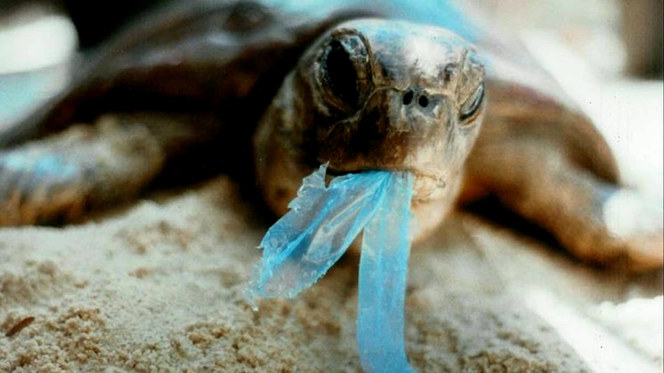 Oceanele, puse în pericol de plasticul ”biodegradabil”