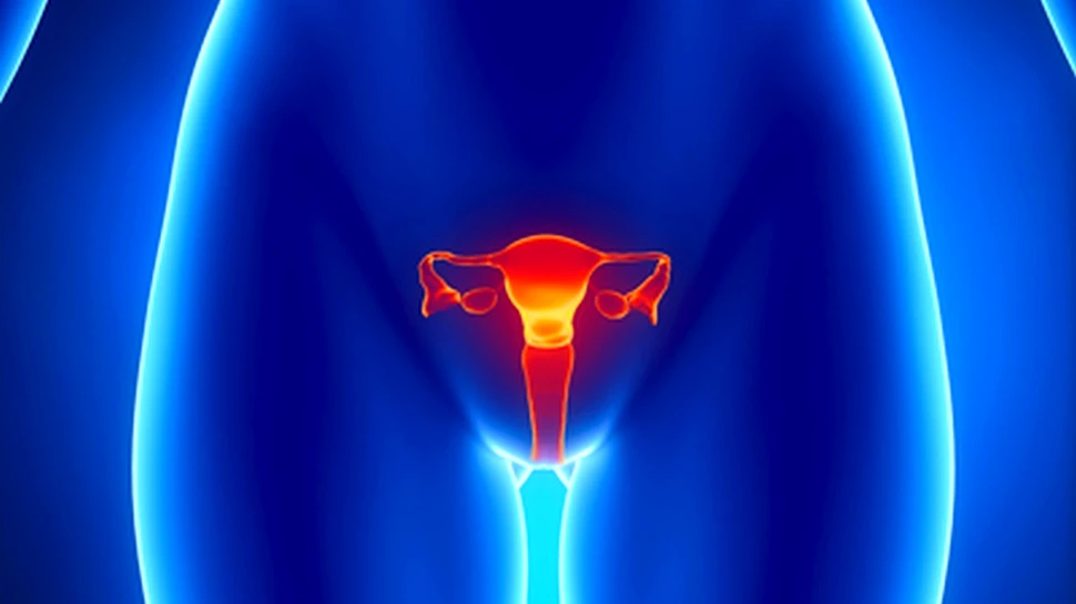 Ce trebuie să facă o femeie pentru a preveni cancerele ginecologice