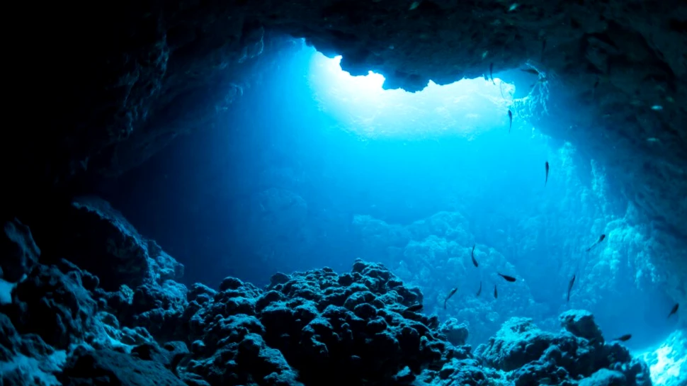 O expediție în adâncurile oceanului va confirma dacă „oxigenul întunecat” există cu adevărat