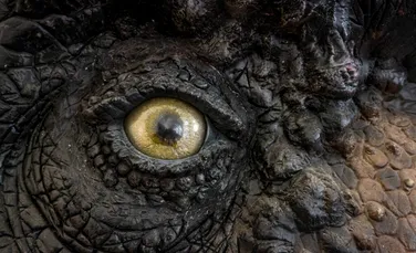 „Jurassic Park” s-a înșelat: Vederea lui T-Rex nu se baza pe mișcare