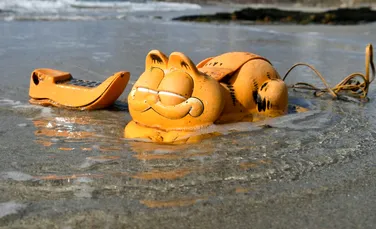 Misterul telefoanelor Garfield care au împânzit plajele Franței, elucidat după 30 de ani