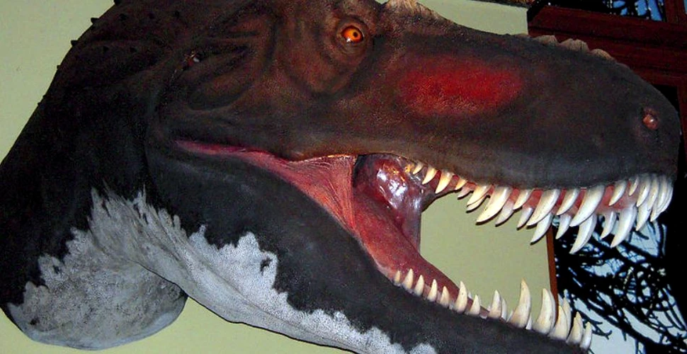 Este oficial: T-rex avea cea mai puternică muşcătură