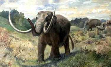 Se plimbau pe lângă casă şi au descoperit rămăşiţele unui mamifer dispărut în urmă cu 10.000 de ani