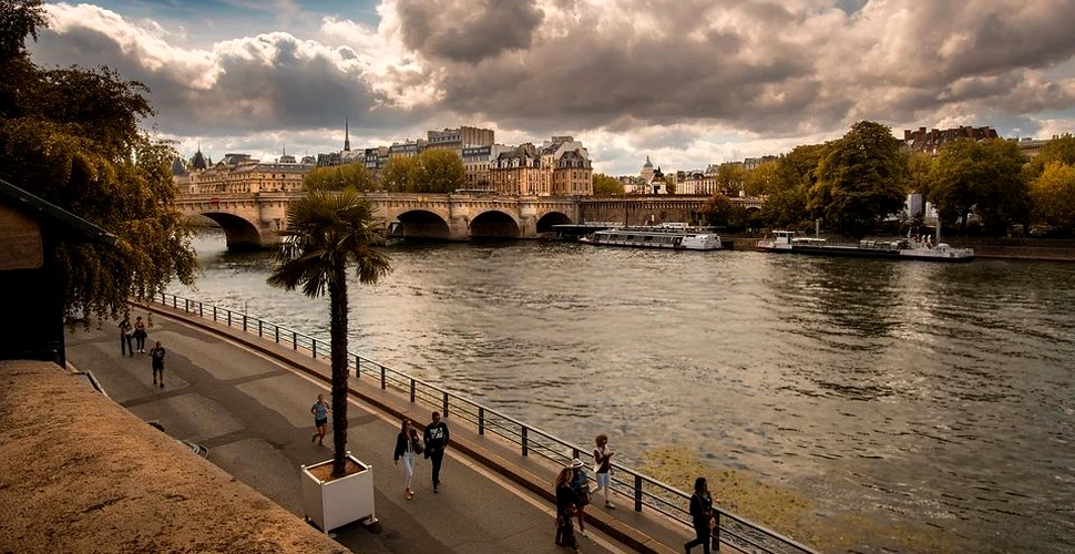 „Păduri de oraş” vor fi plantate în Paris