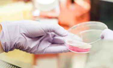 O nouă generaţie de antibiotice cu ajutorul tehnicii revoluţionare de editare genetică CRISPR