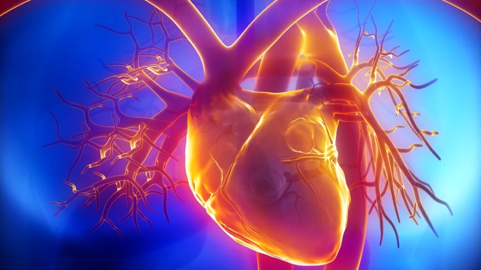 Terapia cu lumină ar putea încetini îmbătrânirea inimii