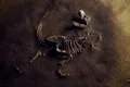 Un dinozaur uriaș a fost descoperit sub un șantier din Brazilia