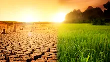 Avertisment: Criza climatică ar trebui declarată urgență globală de sănătate publică