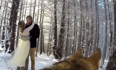 Un cuplu şi-a lăsat câinele să le filmeze nunta. Rezultatul e impresionant – VIDEO