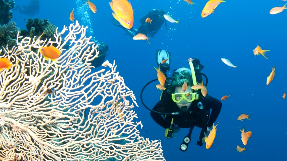 Recifurile de coral se reabilitează mai bine decât se aşteptau cercetătorii – FOTO