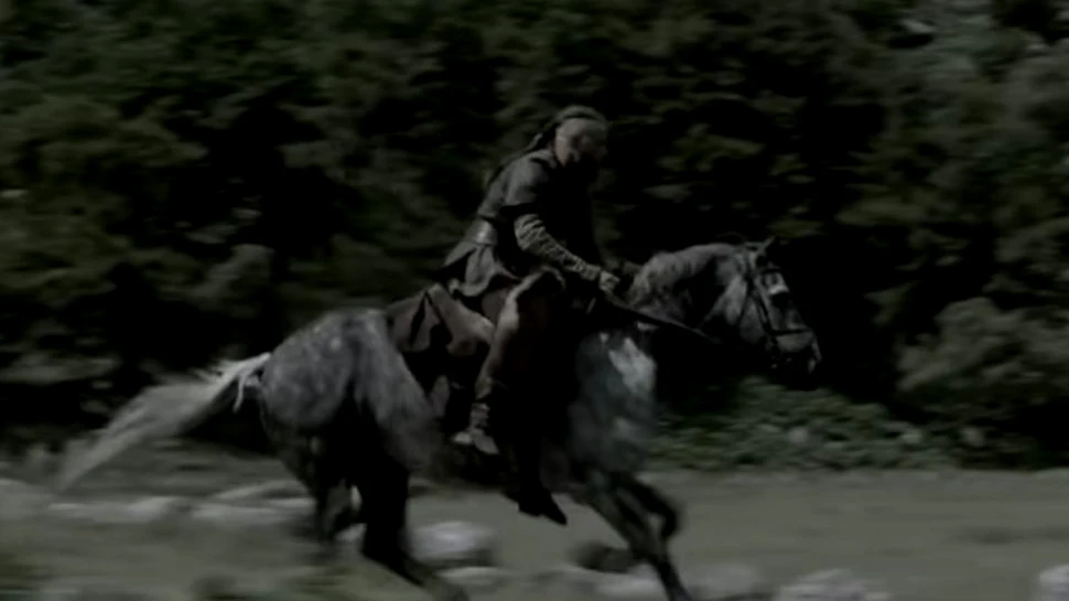 De ce bărbaţii vikingi erau înmormântaţi alături de armăsari, şi nu de iepe