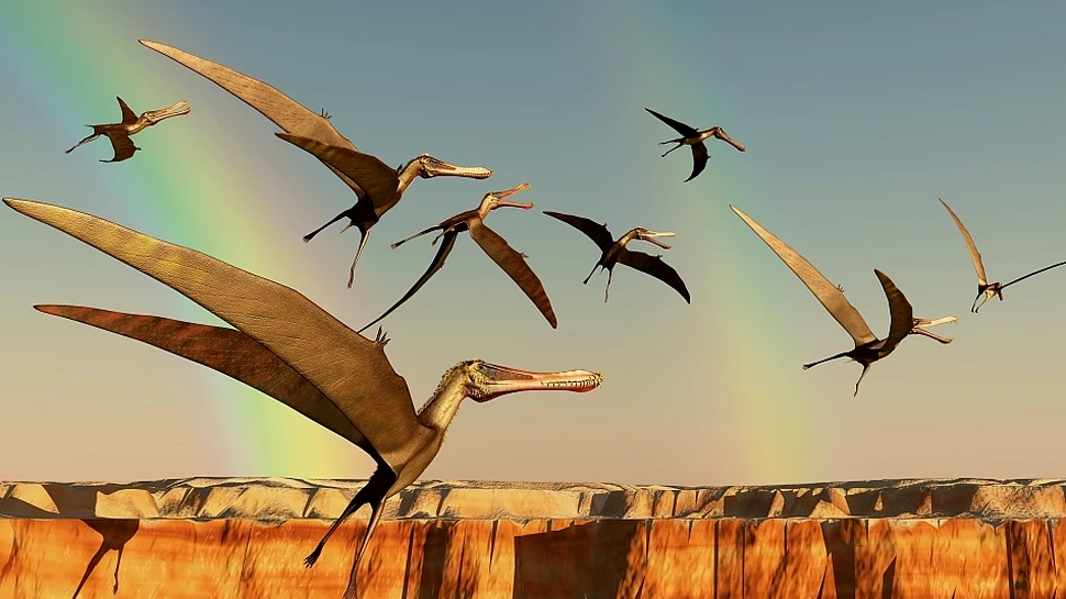 Zeci de specii de reptile zburătoare brăzdau cerul Europei în urmă cu 100 de milioane de ani