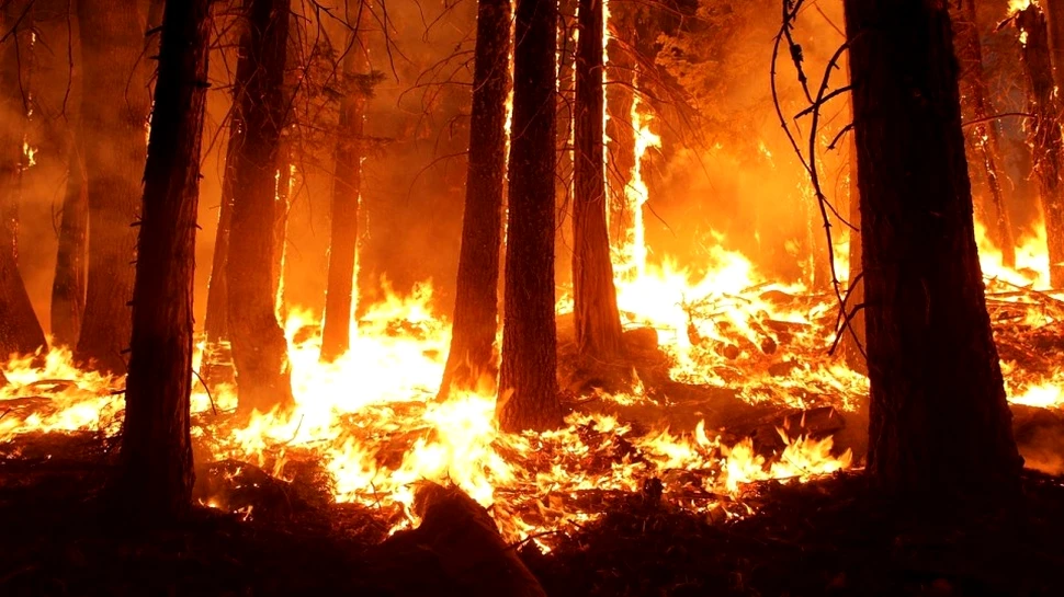 O eră glaciară recentă a fost declanşată de un incendiu mai devastator decât impactul care a dus la dispariţia dinozaurilor