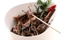 Noi produse din lăcuste pot ajunge în magazine după ce Comisia Europeană a aprobat consumul insectelor