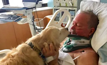 Un câine a salvat viaţa stăpânului său după ce bărbatul a căzut pe gheaţă, şi-a fracturat gâtul şi a petrecut 20 de ore în frig