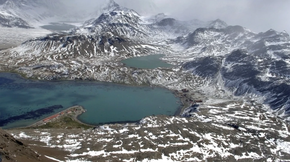 Insula subantarctică Georgia de Sud surprinde prin biodiversitate (FOTO)
