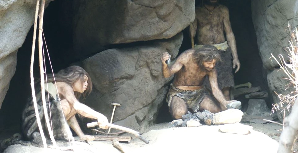Un grup de cercetători a găsit un set de unelte din lemn vechi de 90.000 de ani. Descoperirea, aparent banală, s-a dovedit a fi mult mai spectaculoasă