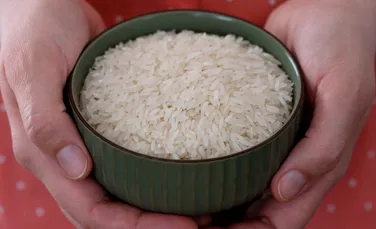 Sectorul orezului din Europa, aproape de colaps. Avertismentul producătorilor!