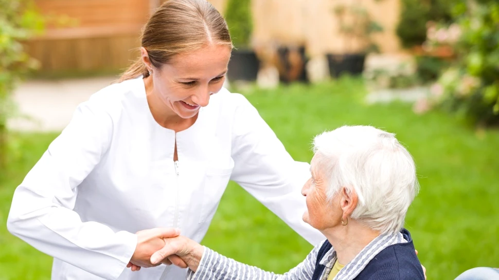 Au fost descoperite celulele cerebrale care îmbunătăţesc capacitatea de învăţare. Noile date pot fi esenţiale în remediul împotriva bolii Alzheimer