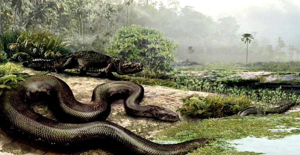 Nu şerpii au fost prima specie veninoasă. O descoperire recentă a elucidat un mister vechi