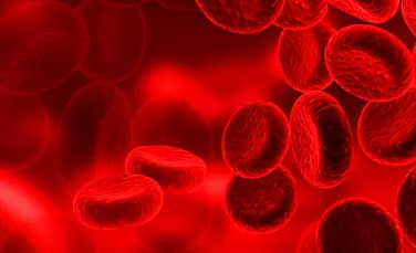 Descoperire revoluţionară! Persoanele cu grupa de sânge A ar putea deveni donatori universali