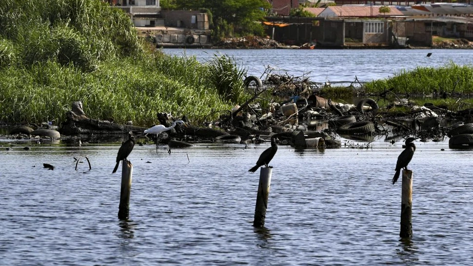 Care a fost impactul deversărilor de petrol din Venezuela din ultimii doi ani