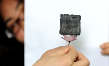 Cel mai uşor material creat vreodată este atât de uşor încât poate fi aşezat pe o floare de cireş