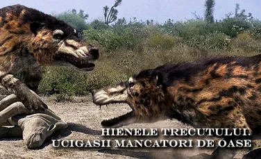 Hienele trecutului – ucigasii mancatori de oase