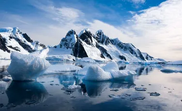 O nouă zonă maritimă declarată protejată: Marea Ross din Antarctica